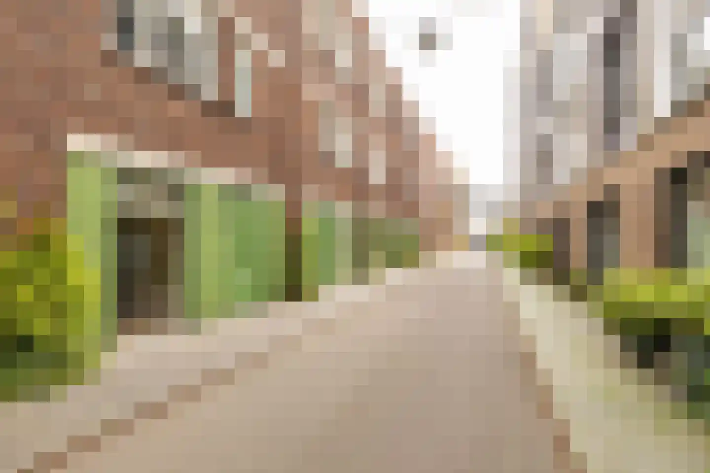 Kolendwarsstraat 17 Groningen thumbnail 33