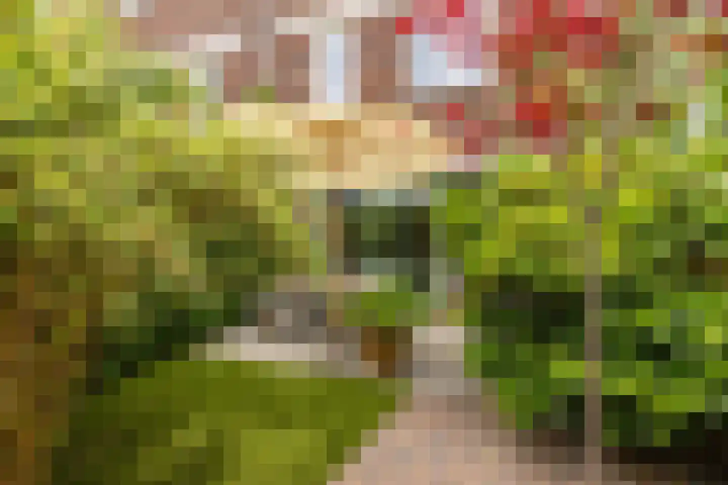 Kolendwarsstraat 17 Groningen thumbnail 34