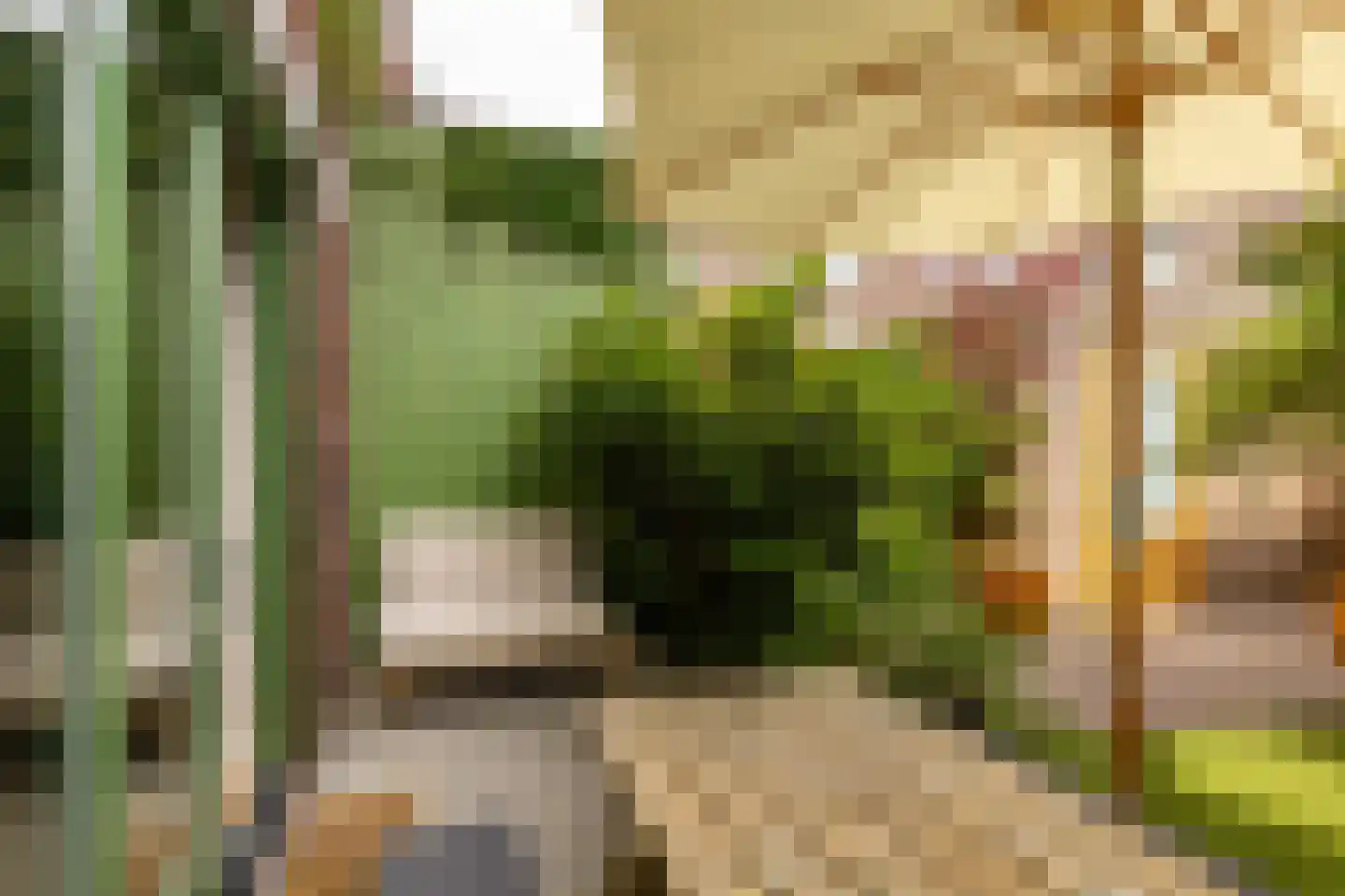 Kolendwarsstraat 17 Groningen thumbnail 37