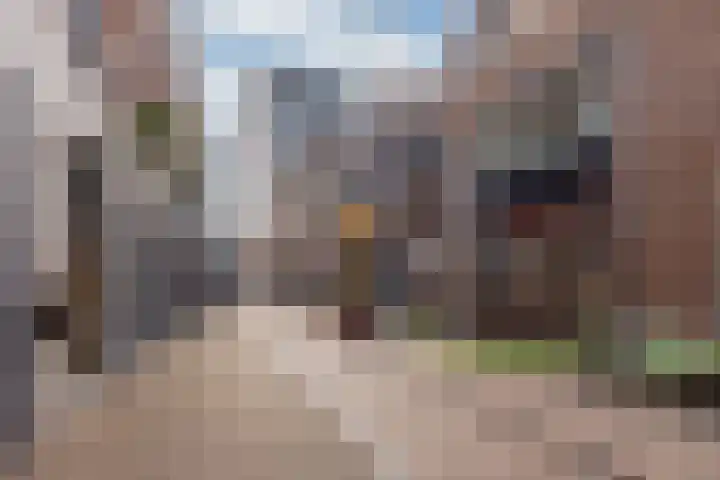 Kolenstraat 22 Venlo thumbnail 24
