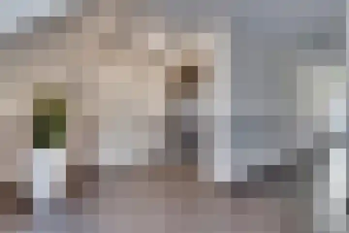 Kolenstraat 22 Venlo thumbnail 5