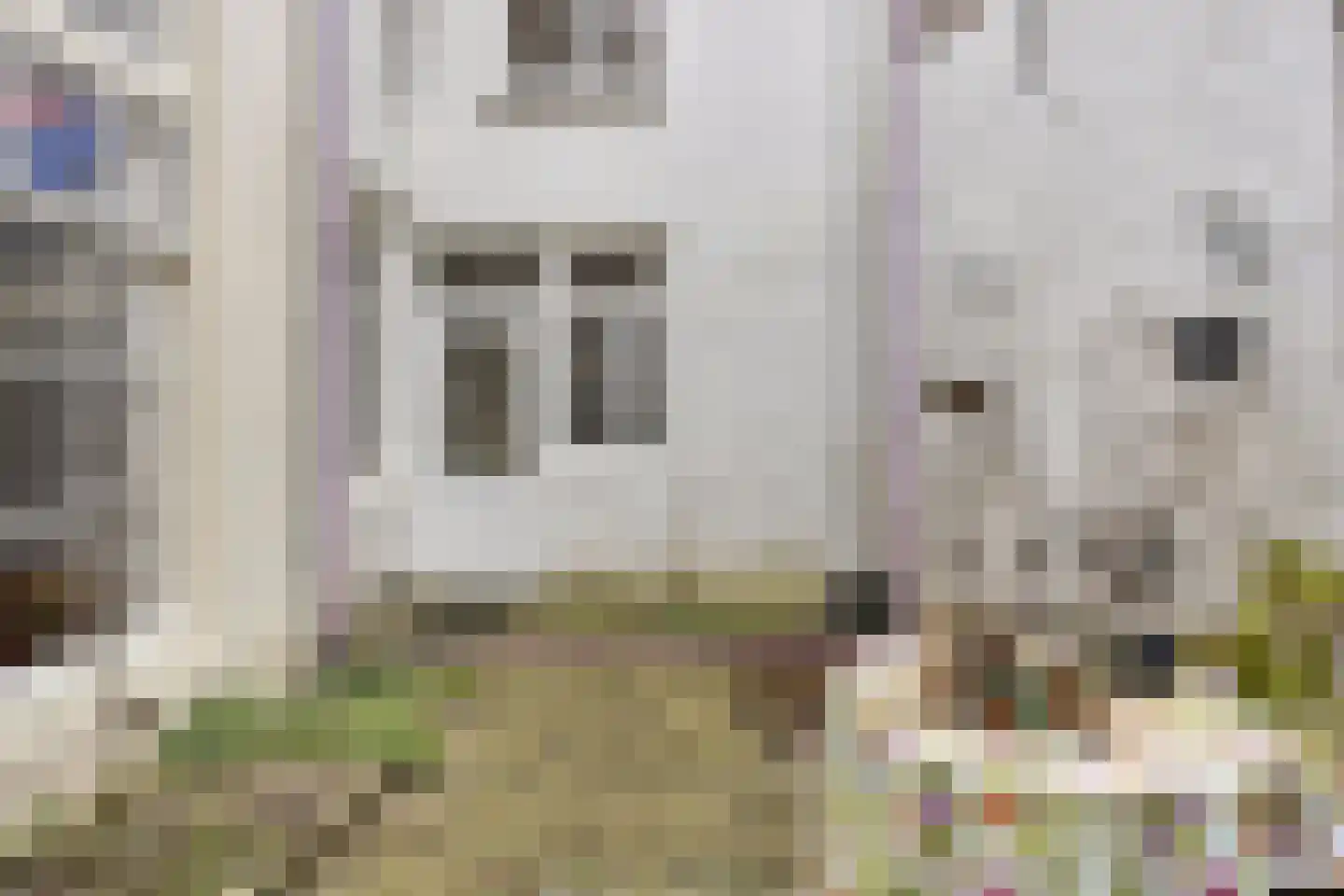 Kolenstraat 23 Zutphen thumbnail 12