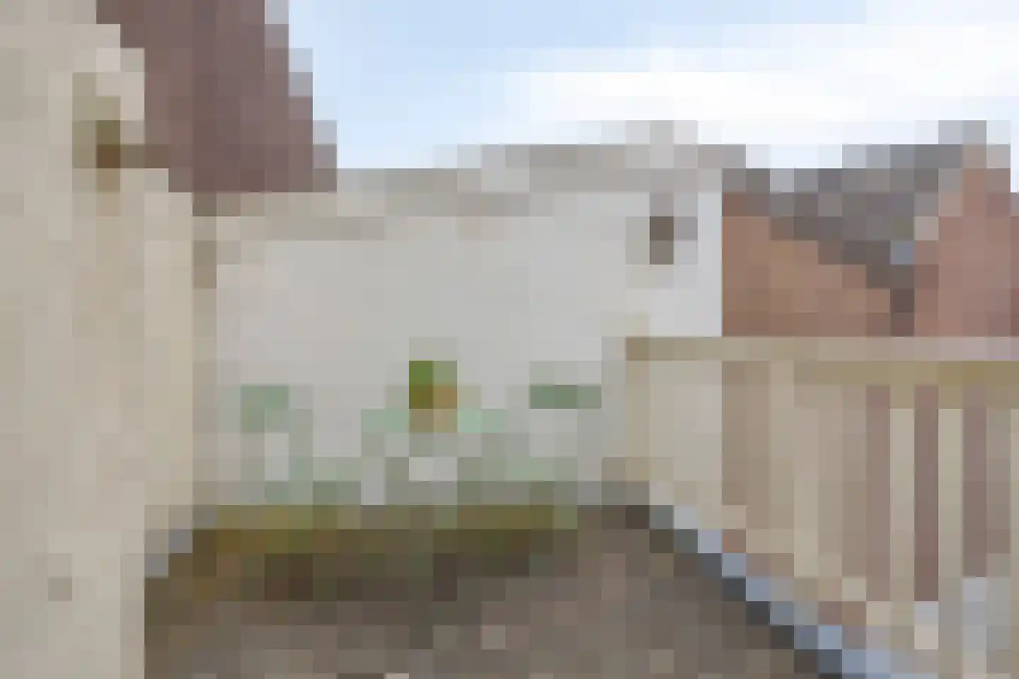 Kolenstraat 23 Zutphen thumbnail 26