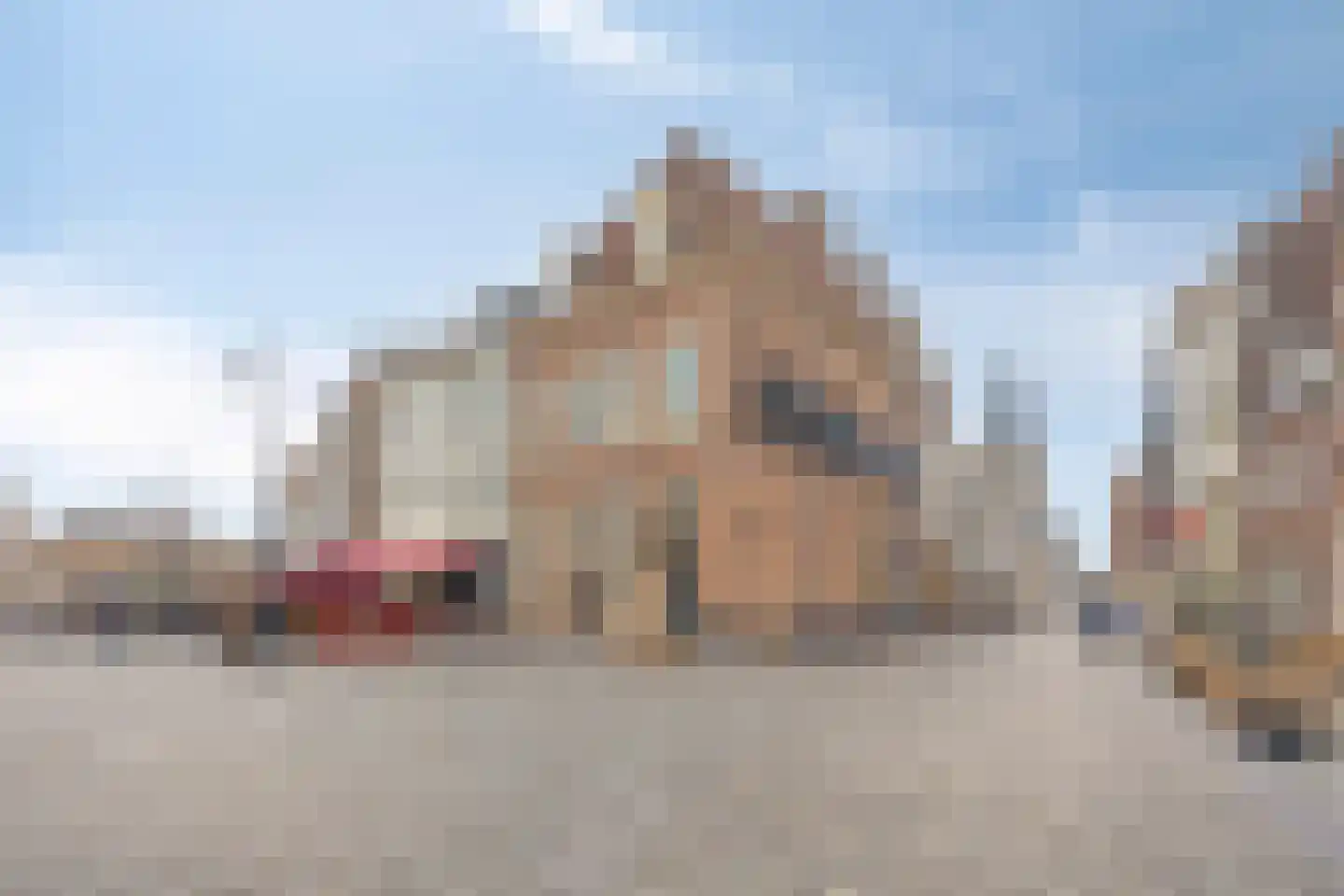Kolenstraat 23 Zutphen thumbnail 36