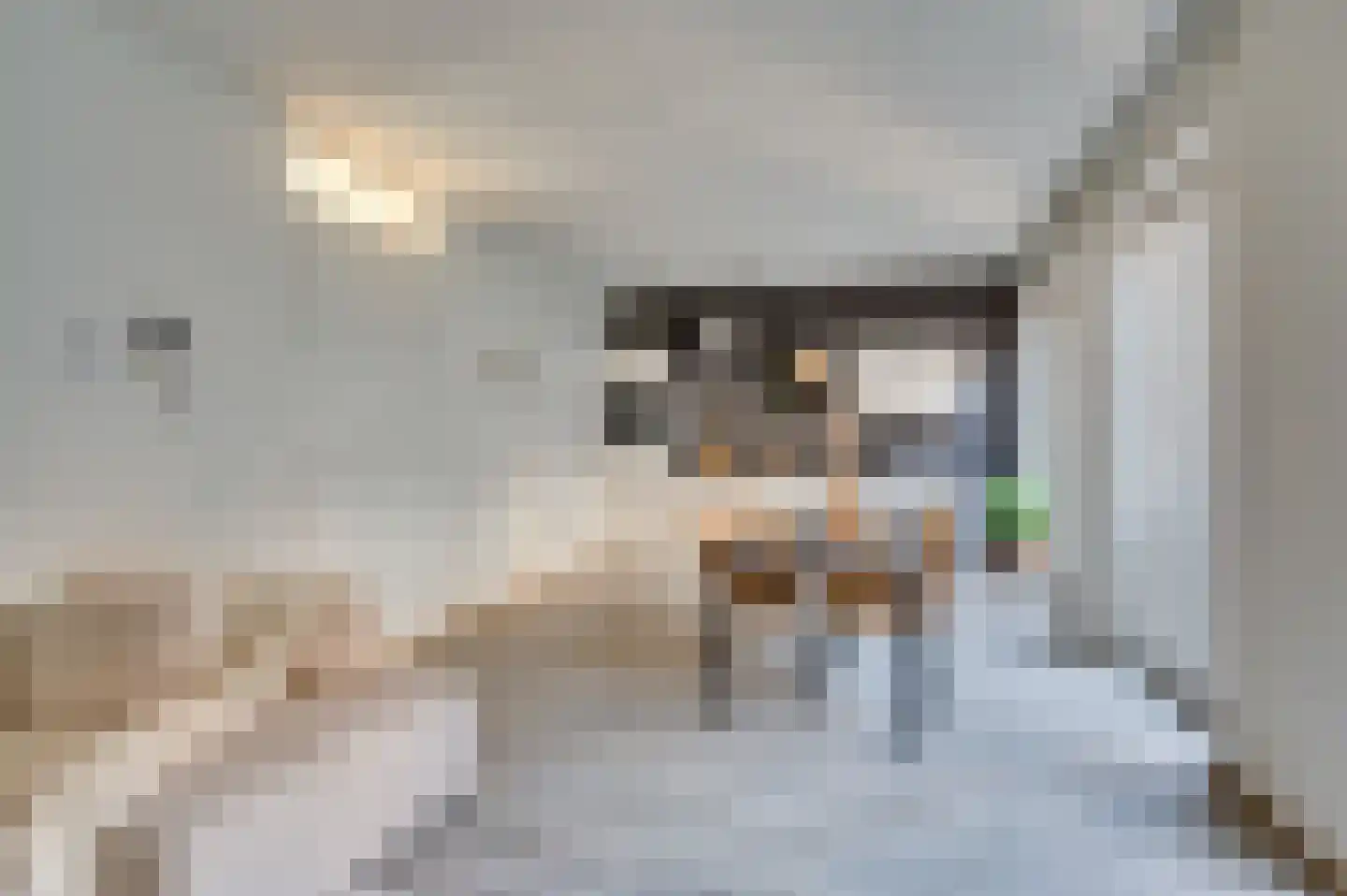 Kolenstraat 30 Venlo thumbnail 22