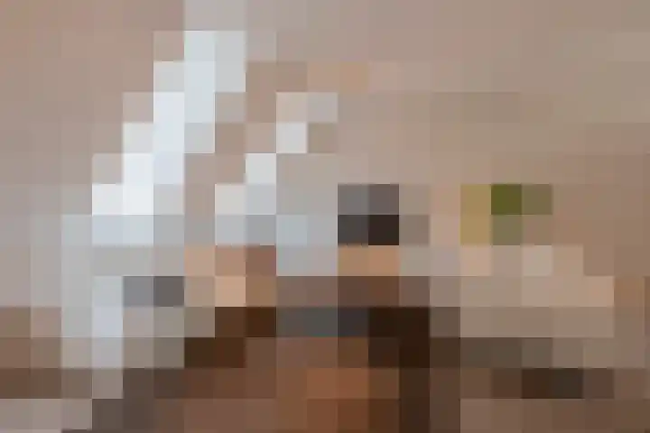 Kolenstraat 36 Venlo thumbnail 4