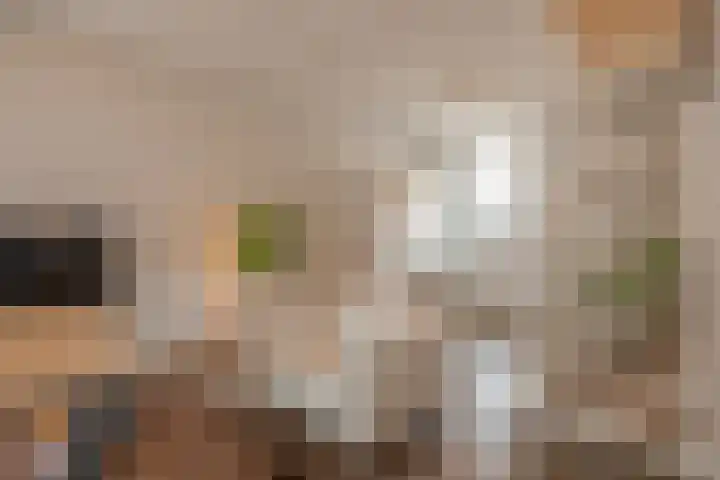 Kolenstraat 36 Venlo thumbnail 6