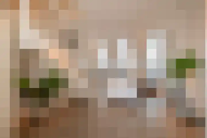 Kolenstraat 36 Venlo thumbnail 7