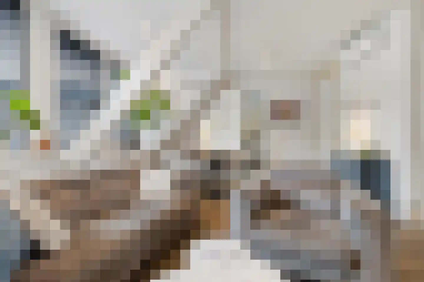 Kolenstraat 45 Venlo thumbnail 17
