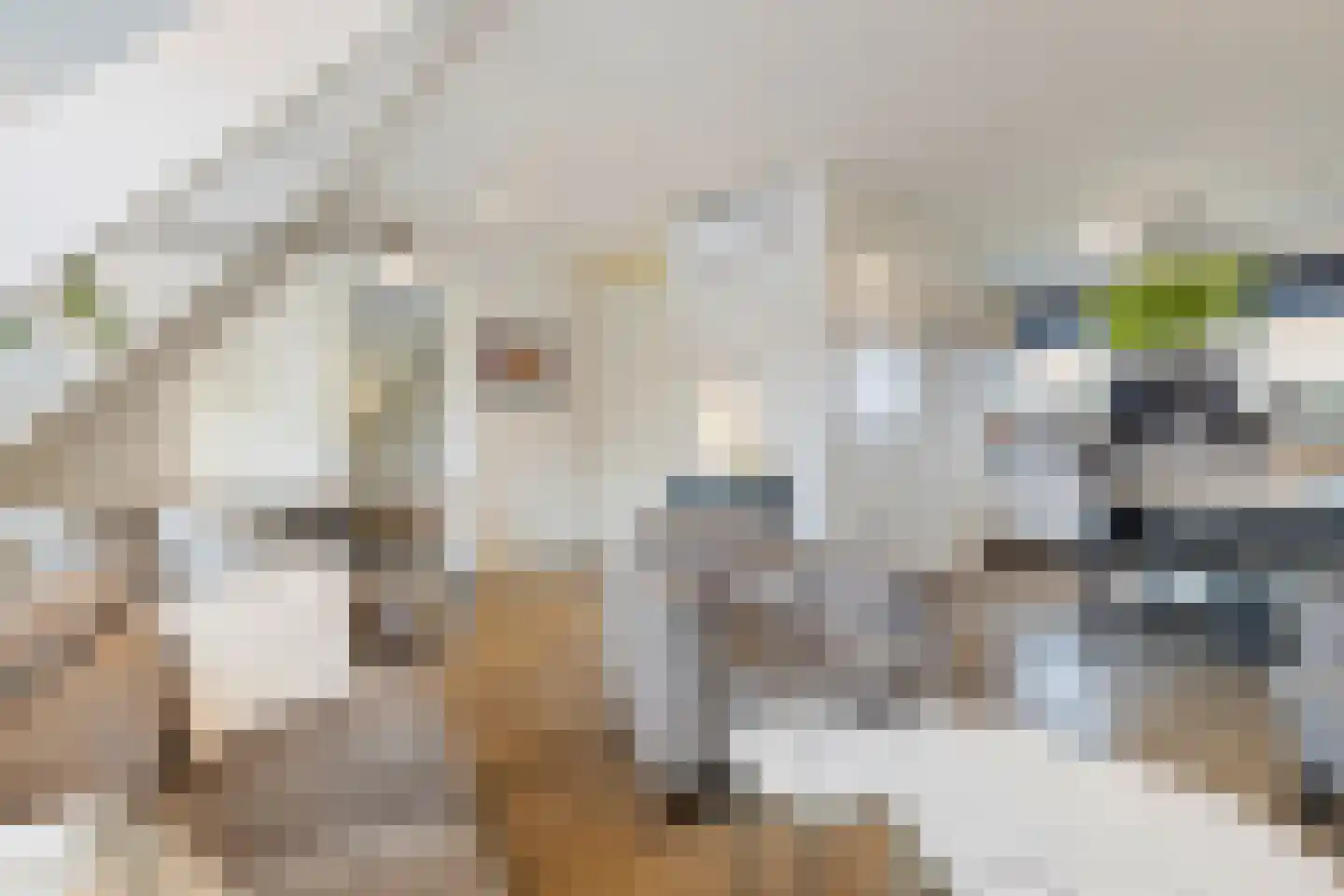 Kolenstraat 45 Venlo thumbnail 19