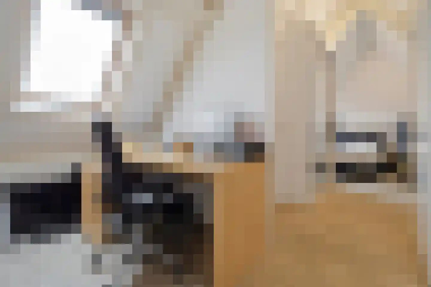 Kolenstraat 45 Venlo thumbnail 33