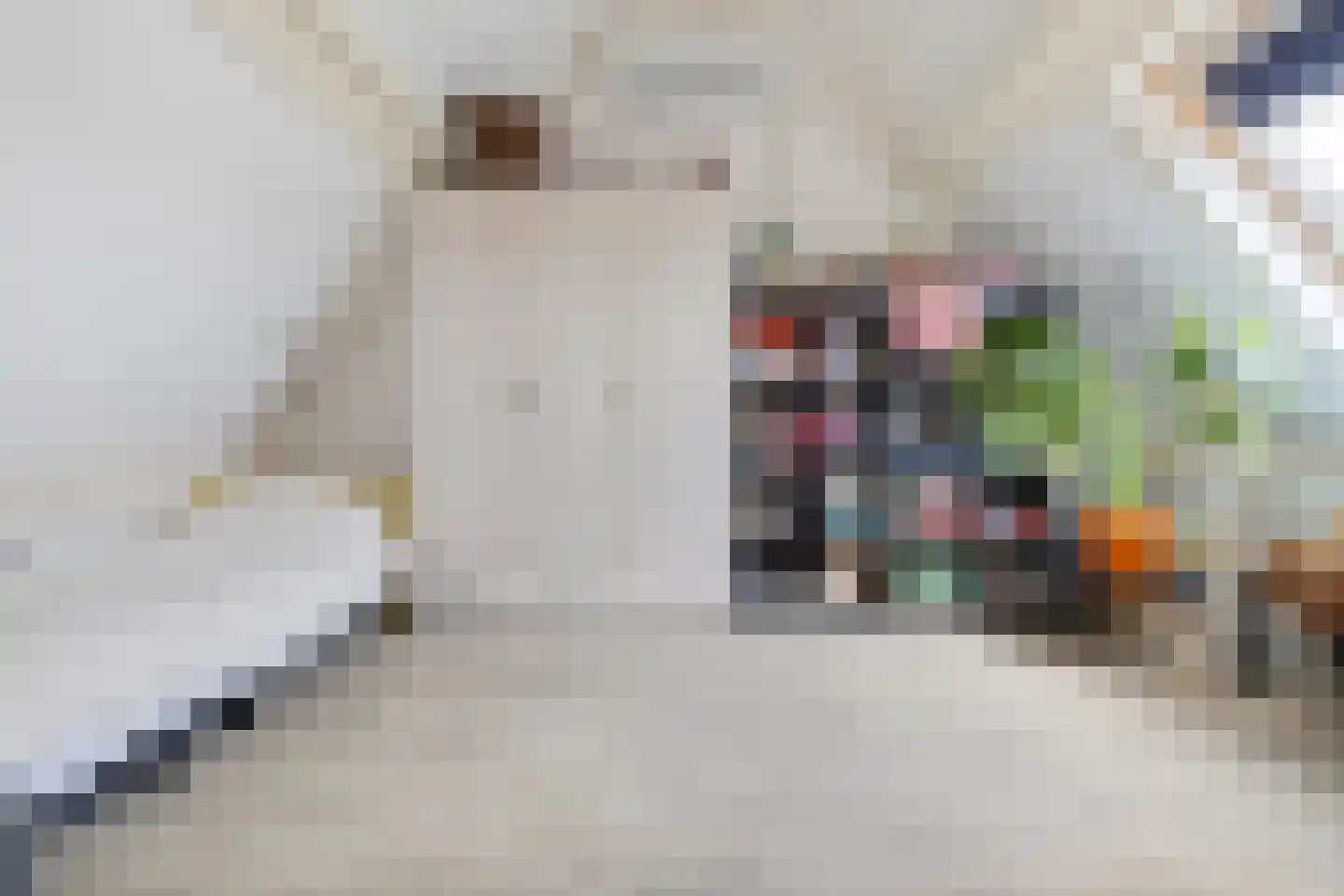 Kolenstraat 45 Venlo thumbnail 36