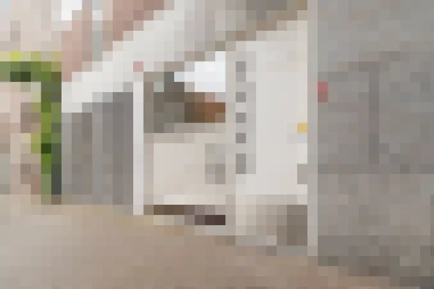 Kolenstraat 49 Venlo thumbnail 25