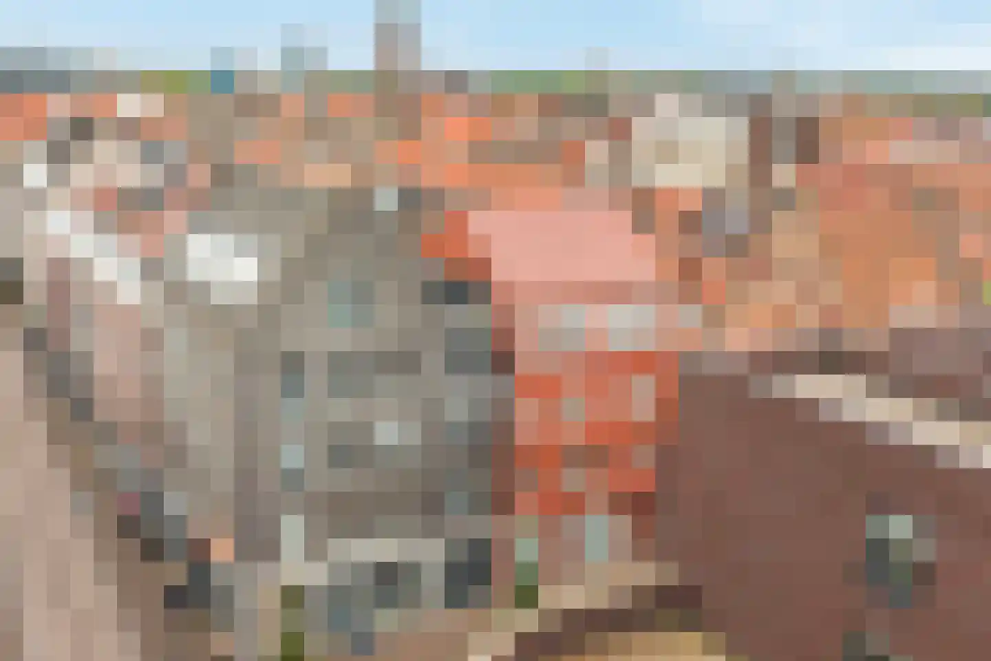 Kolenstraat 49 Venlo thumbnail 32