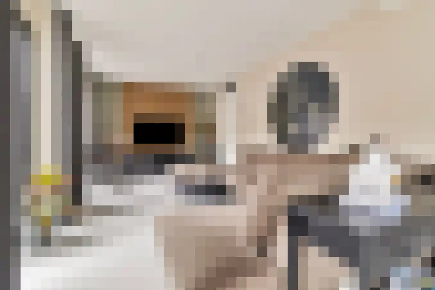 Kolenstraat 49 Venlo thumbnail 5