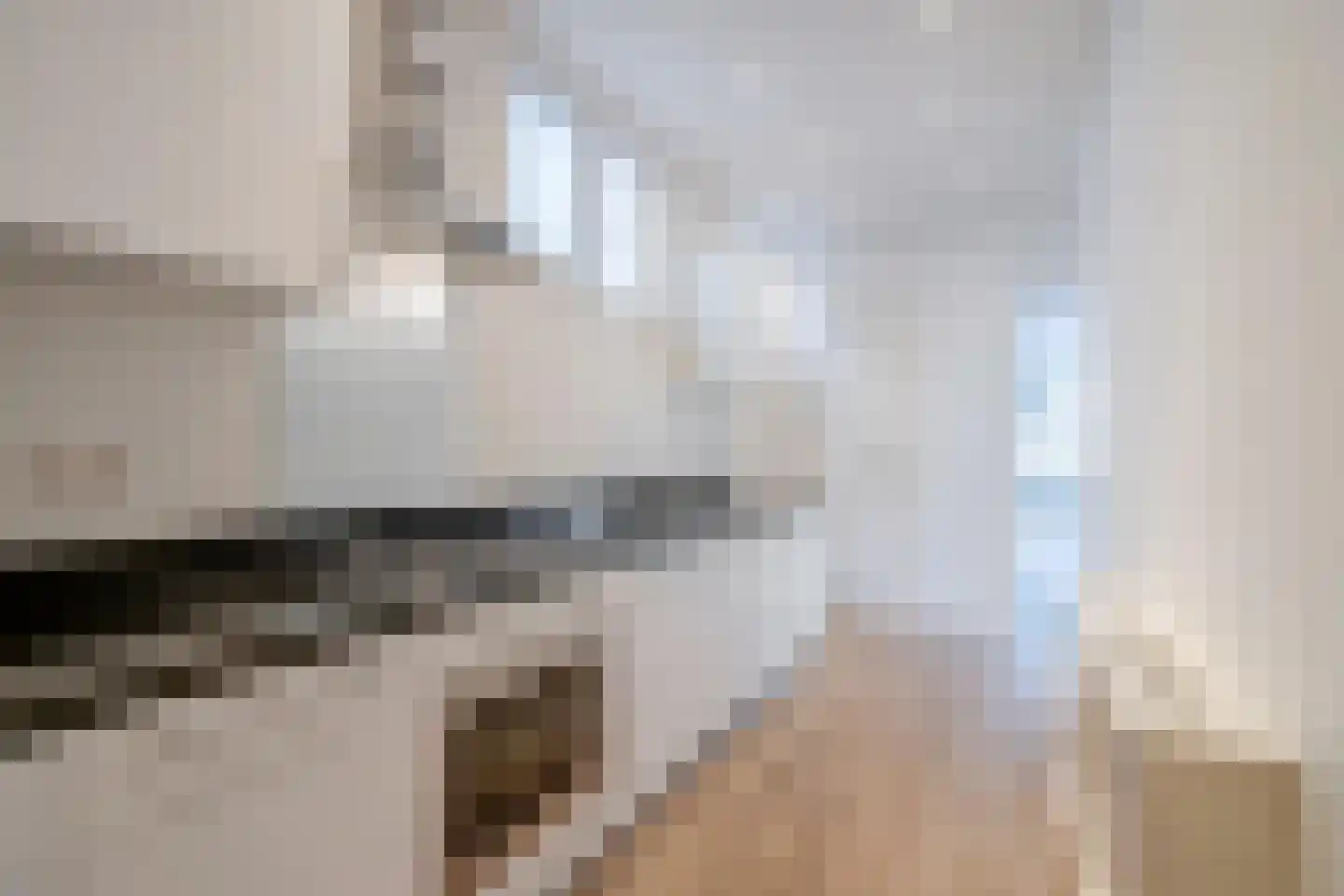Kolenwagenslag 11 Den Haag thumbnail 11