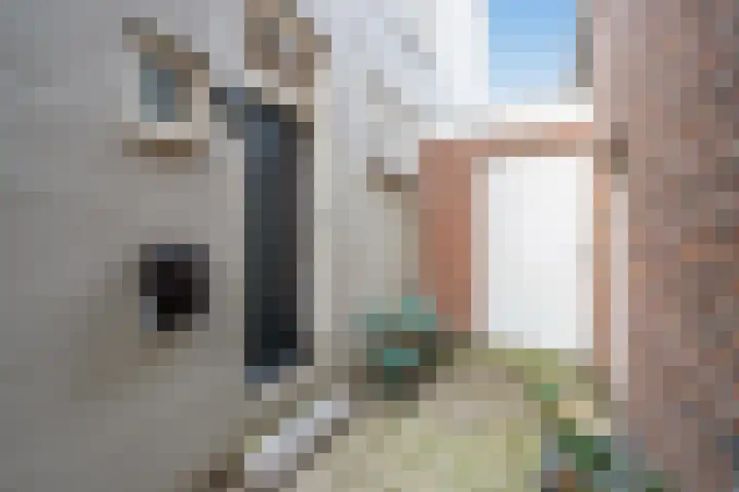 Kolenwagenslag 11 Den Haag thumbnail 20