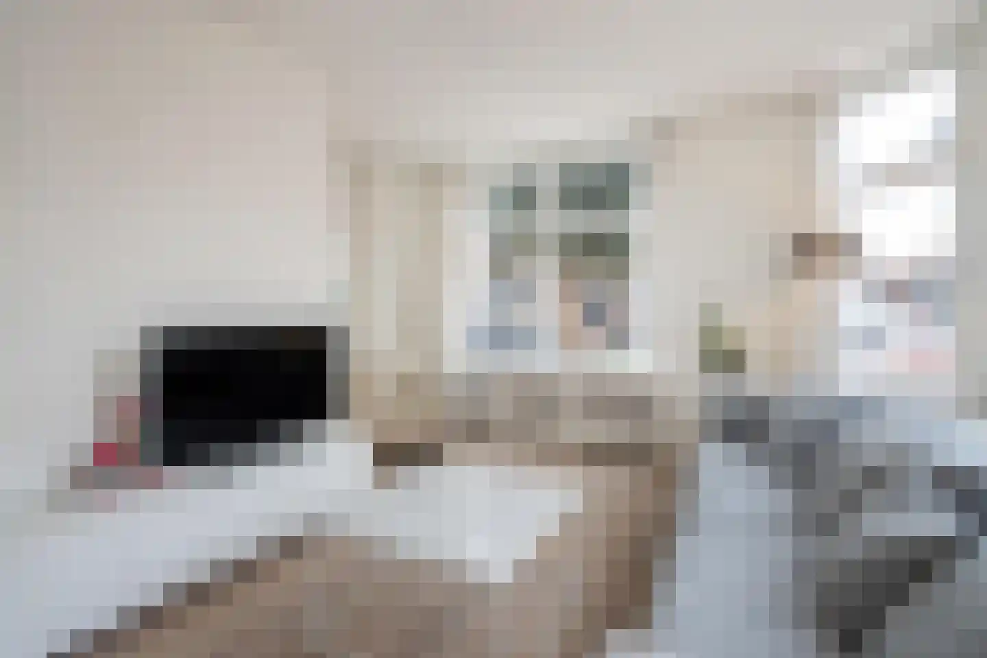 Kolenwagenslag 11 Den Haag thumbnail 6