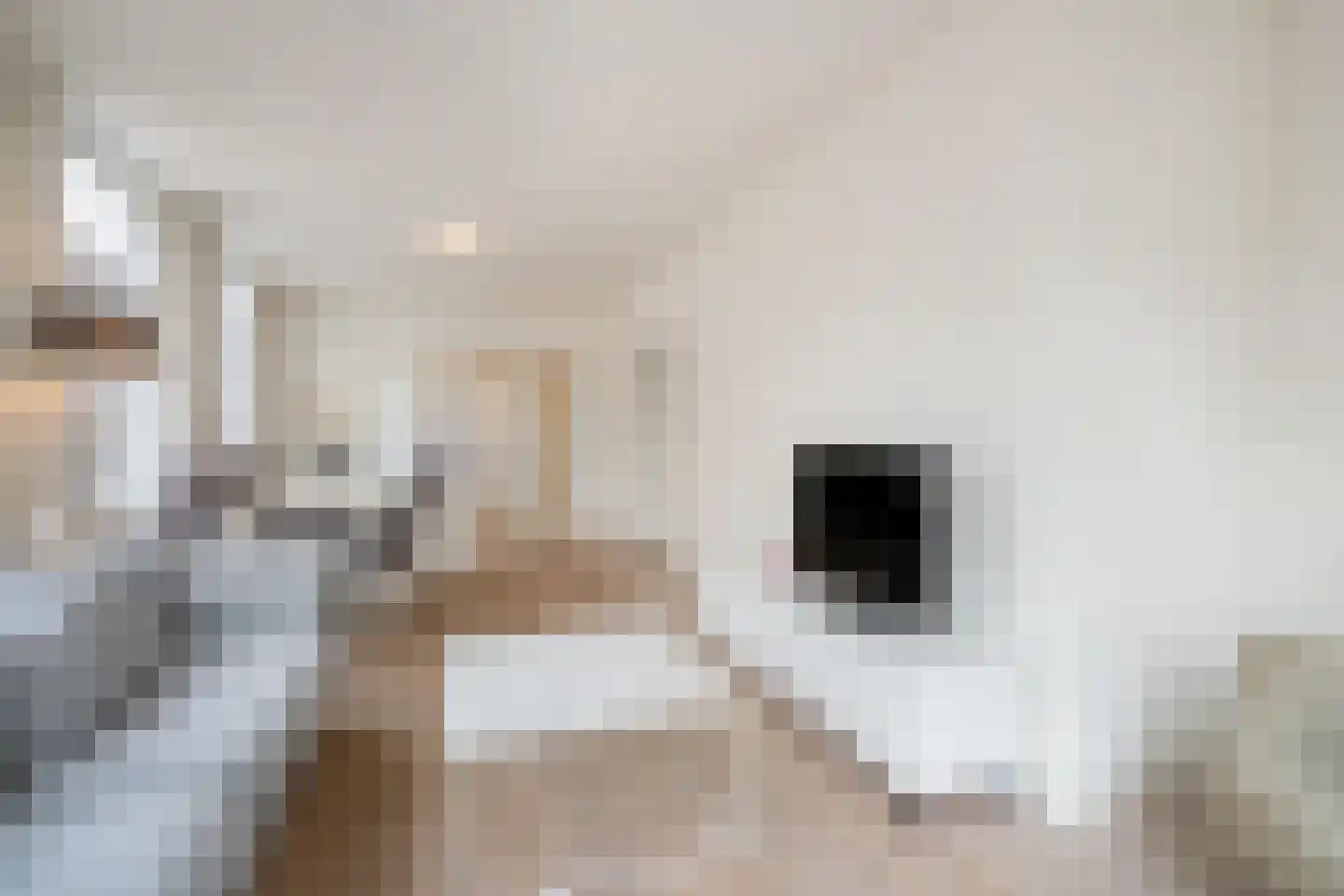 Kolenwagenslag 11 Den Haag thumbnail 7