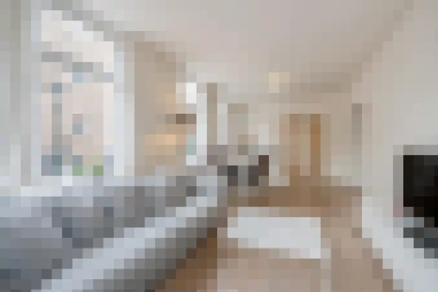 Kolenwagenslag 11 Den Haag thumbnail 8