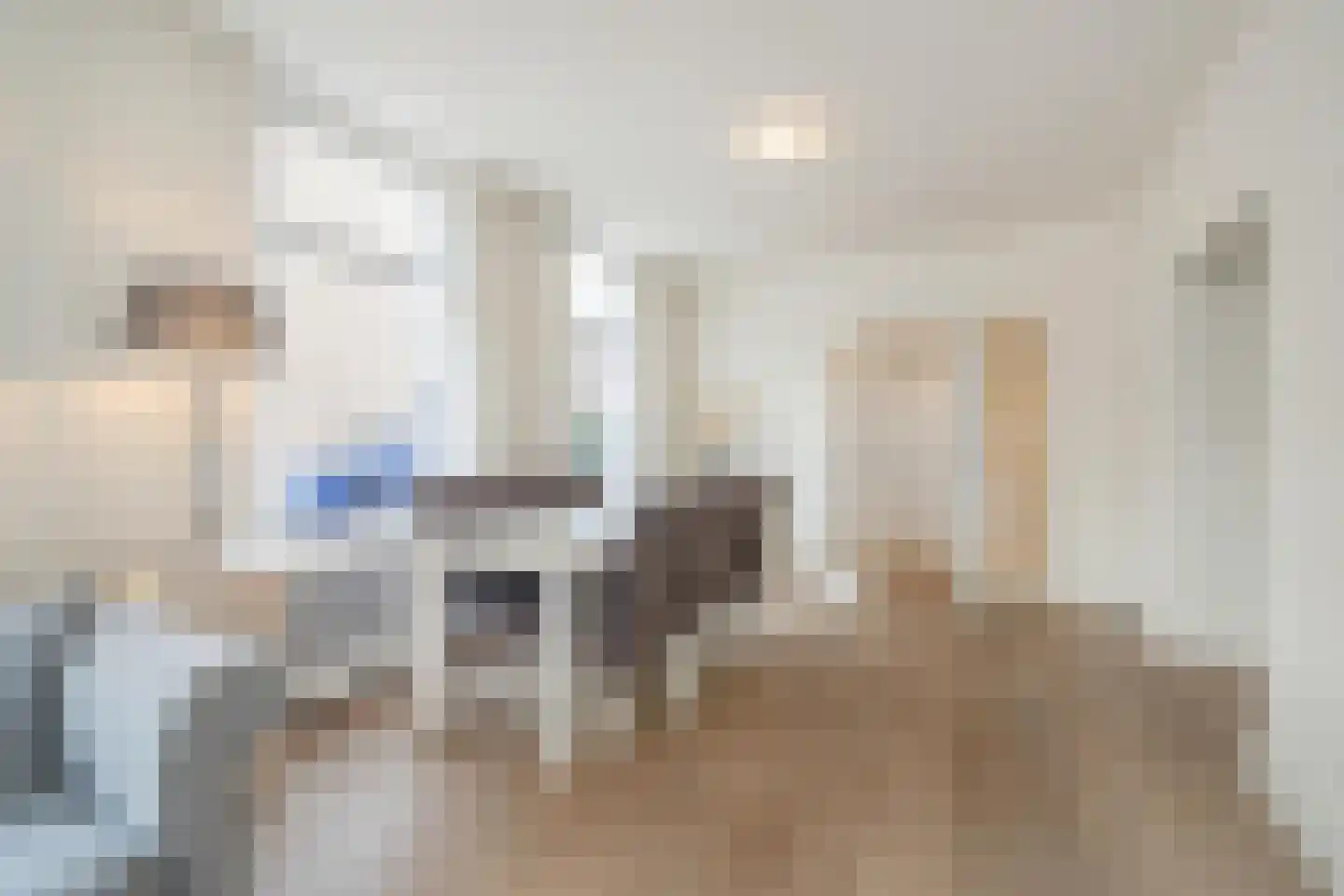 Kolenwagenslag 11 Den Haag thumbnail 9