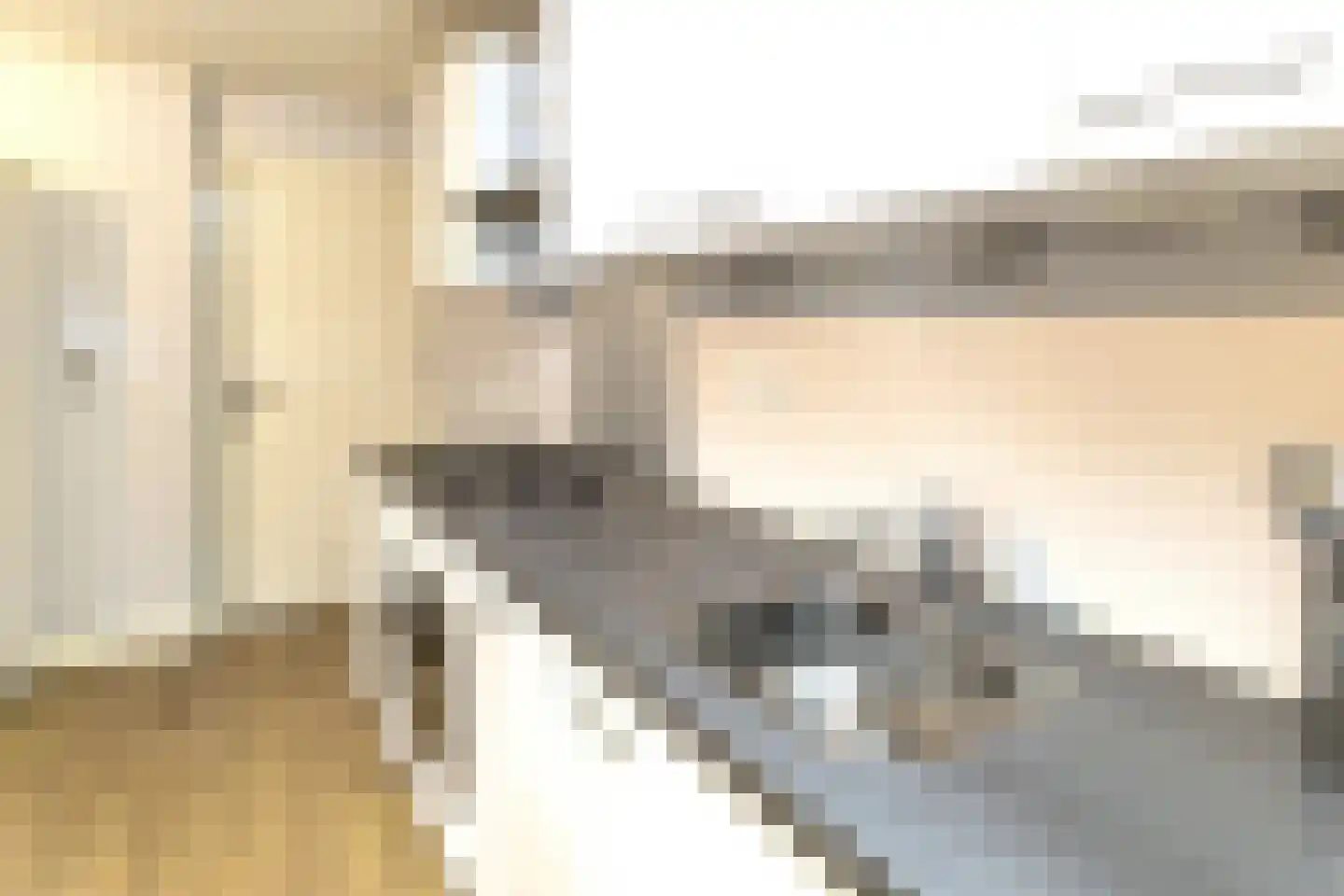 Kolenwagenslag 3 Den Haag thumbnail 13