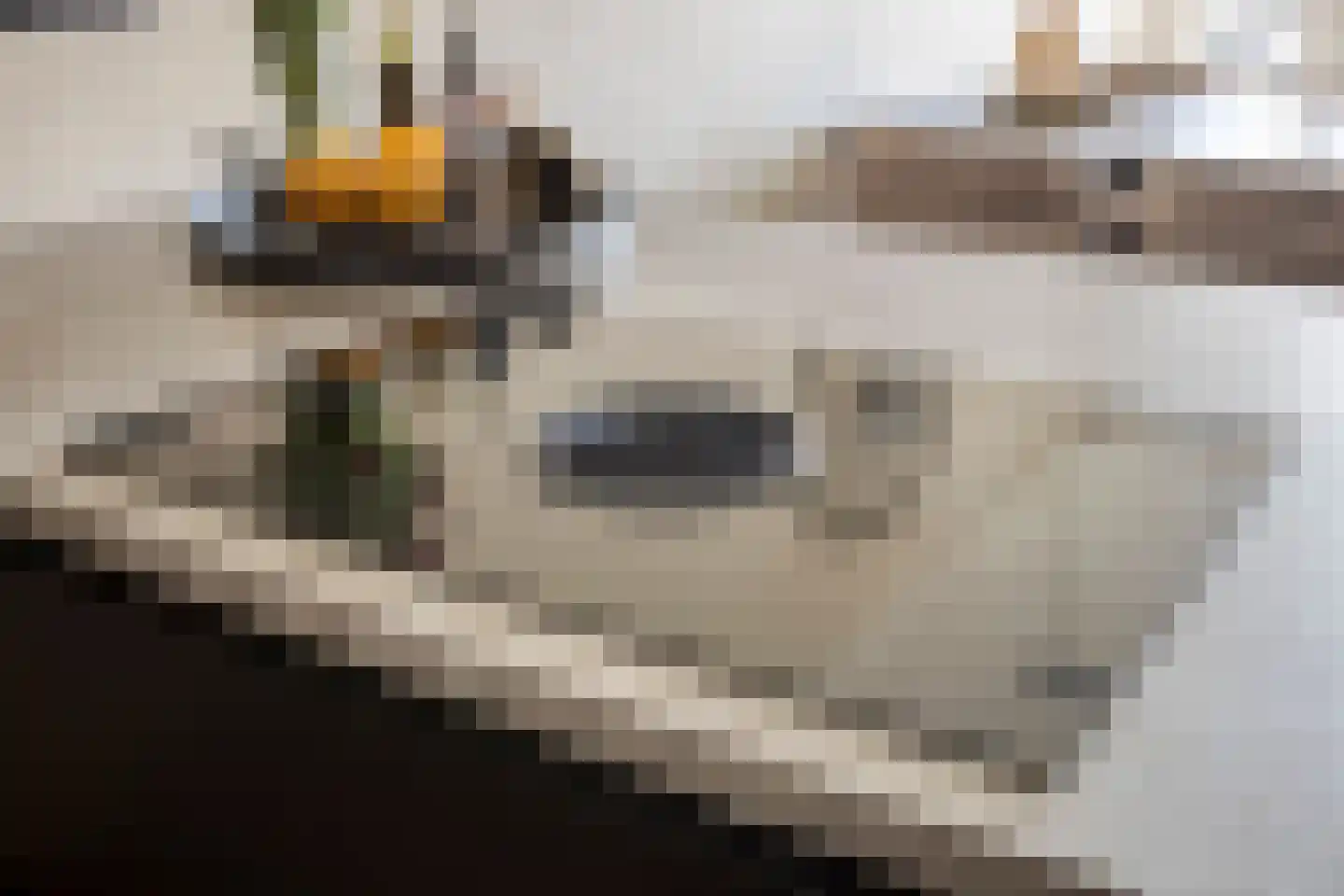 Kolerhof 10 Someren thumbnail 15