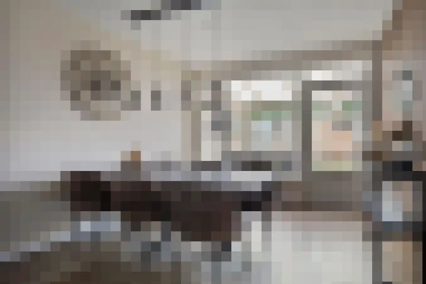 Kolerhof 10 Someren thumbnail 17