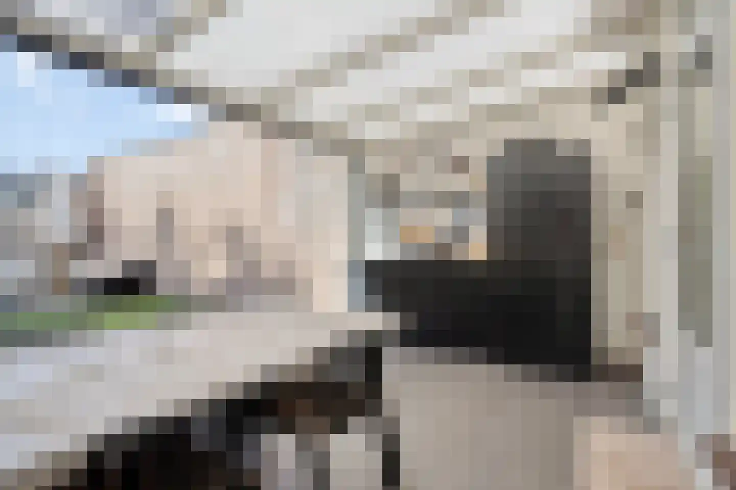 Kolerhof 10 Someren thumbnail 29