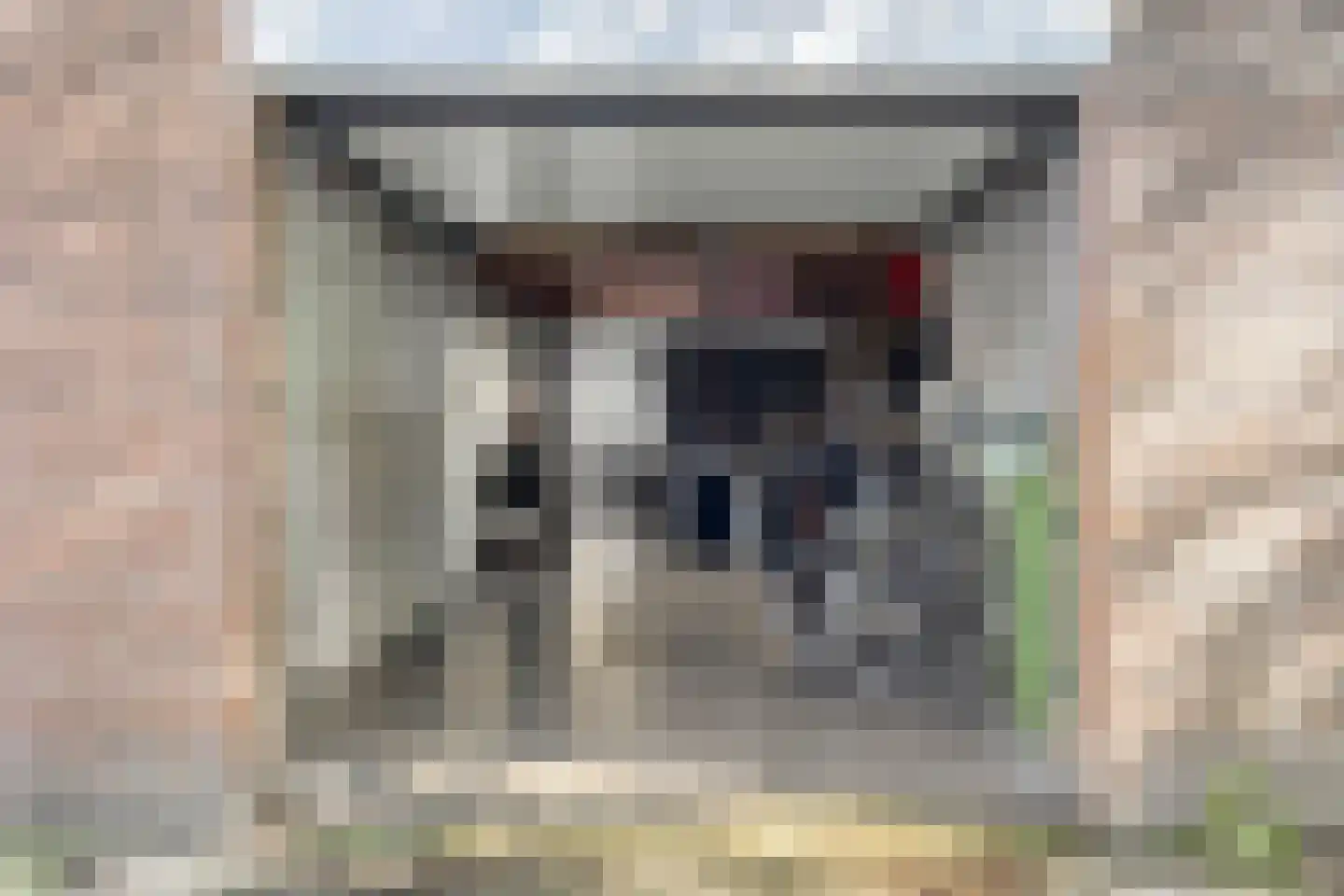 Kolerhof 10 Someren thumbnail 7