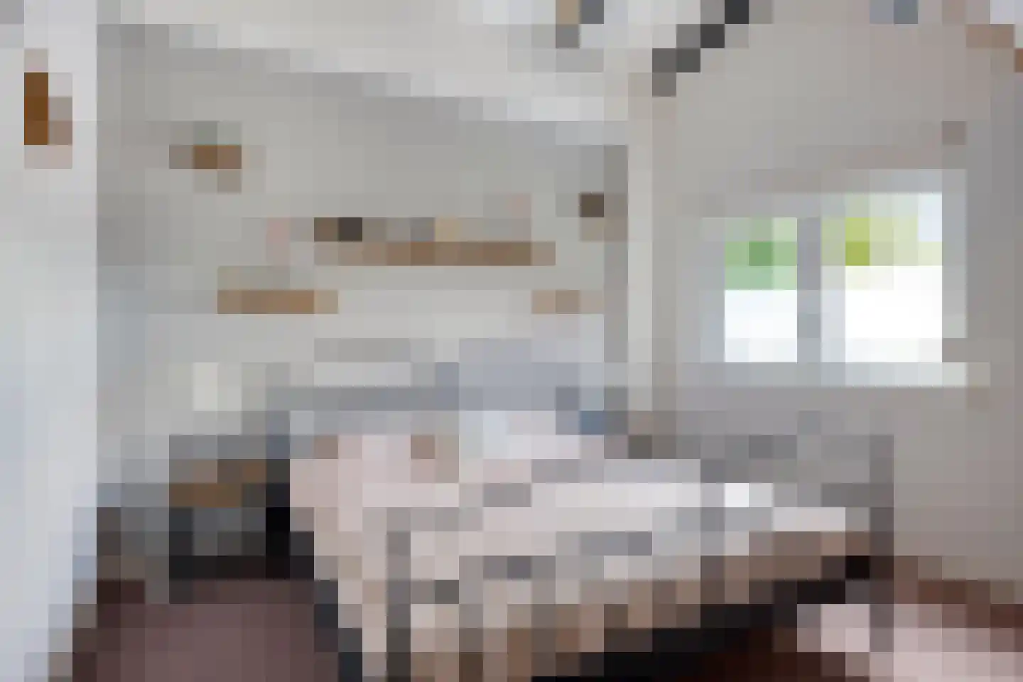 Kolerhof 8 Someren thumbnail 4