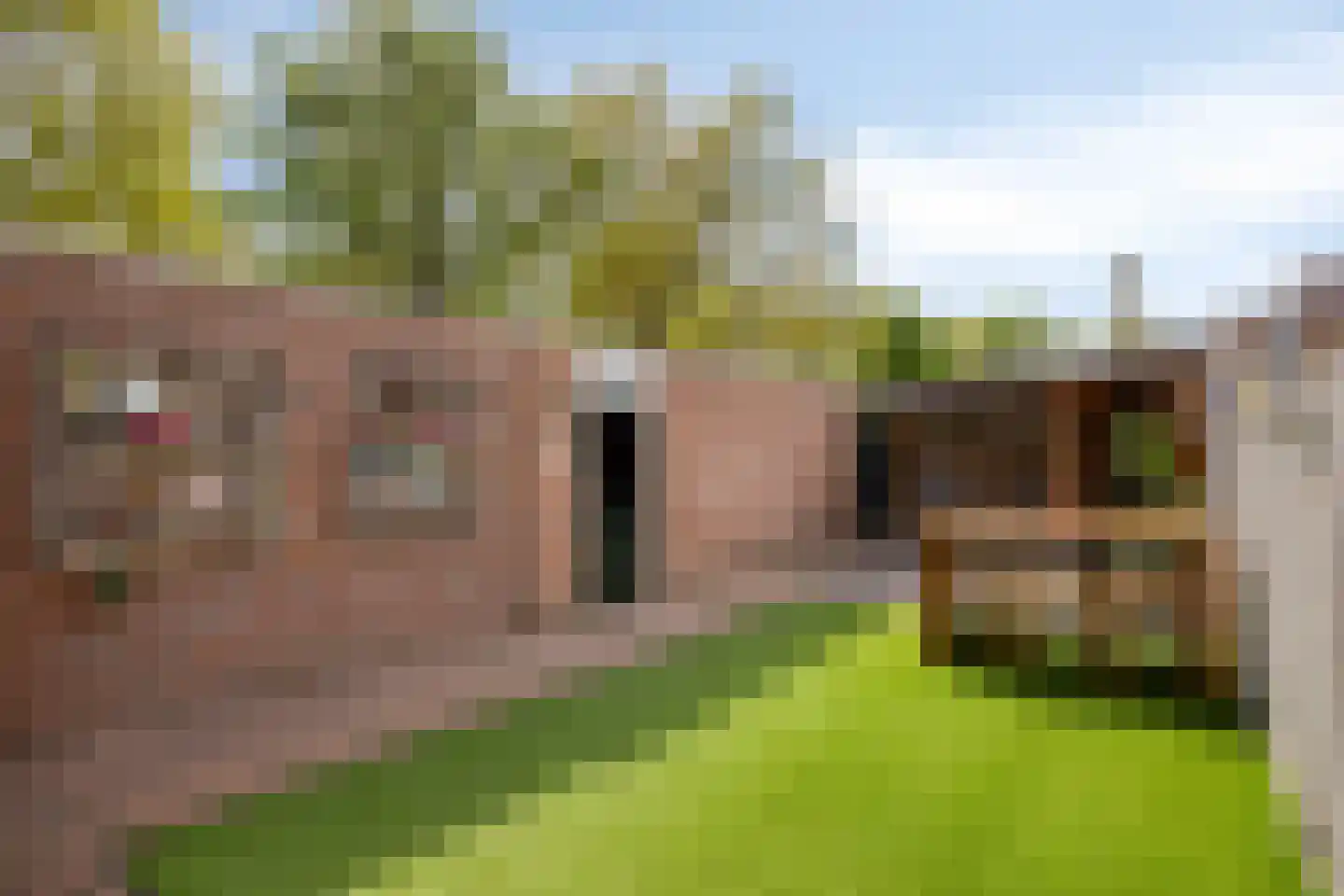 Kolerhof 8 Someren thumbnail 41