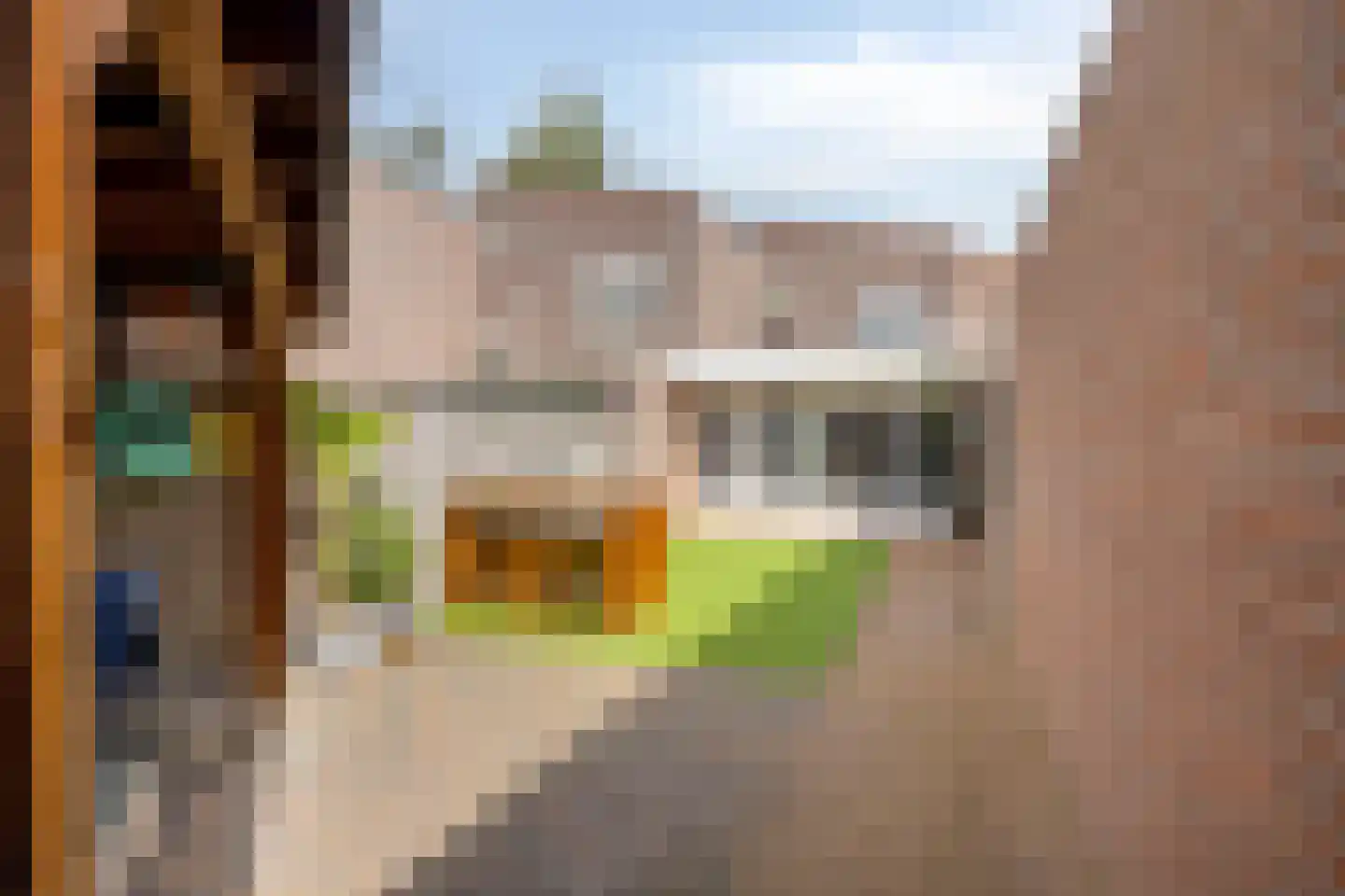 Kolerhof 8 Someren thumbnail 44