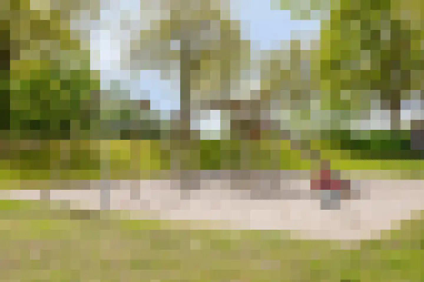 Kolerhof 8 Someren thumbnail 51