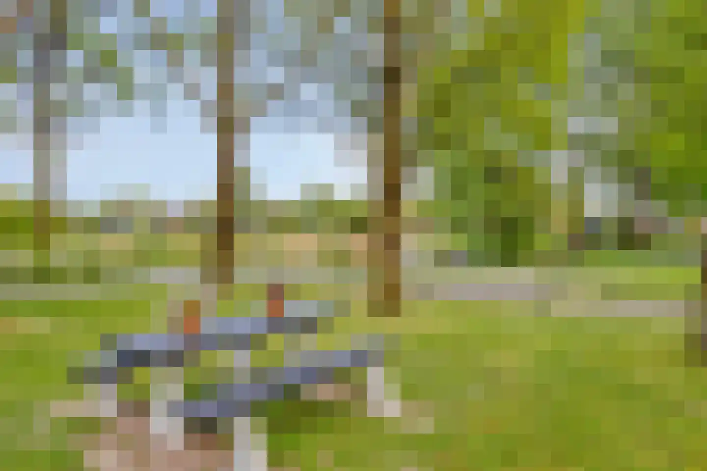 Kolerhof 8 Someren thumbnail 52