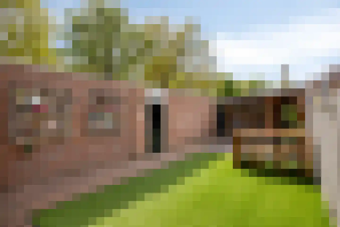 Kolerhof 8 Someren thumbnail 6