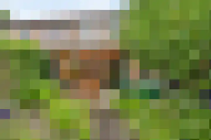 Koles 3 Rolde thumbnail 24