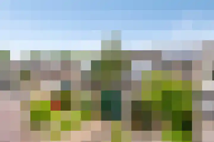 Koles 3 Rolde thumbnail 28