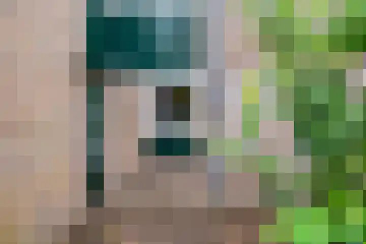Koles 3 Rolde thumbnail 31