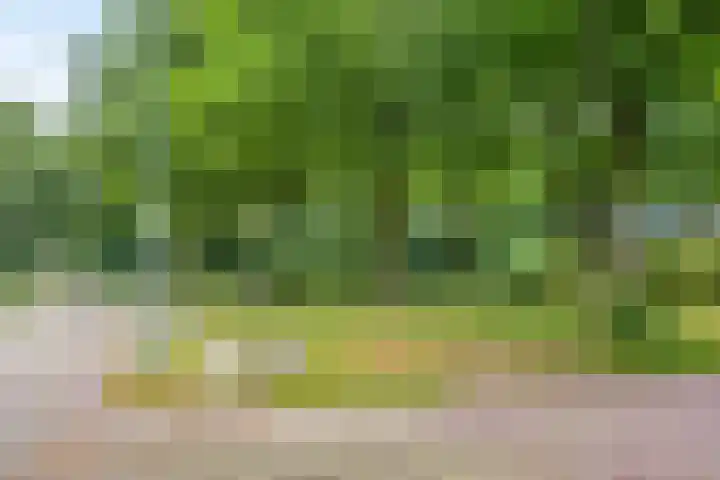 Koles 3 Rolde thumbnail 35