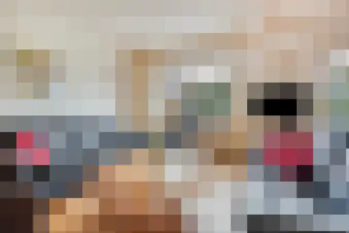 Koles 3 Rolde thumbnail 7