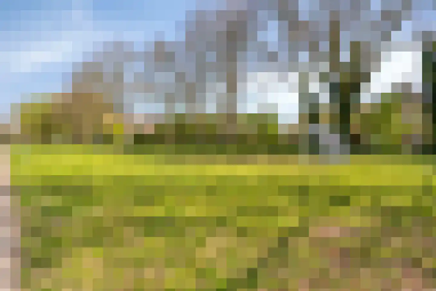 Kolfbaan 108 Burgum thumbnail 27
