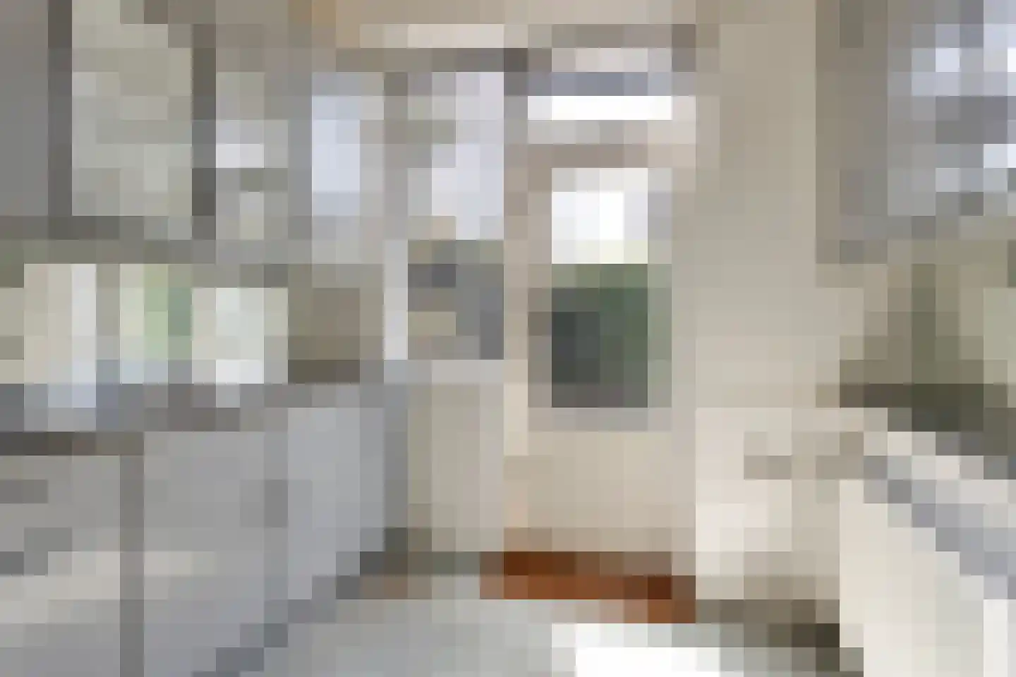 Kolfbaan 108 Burgum thumbnail 5