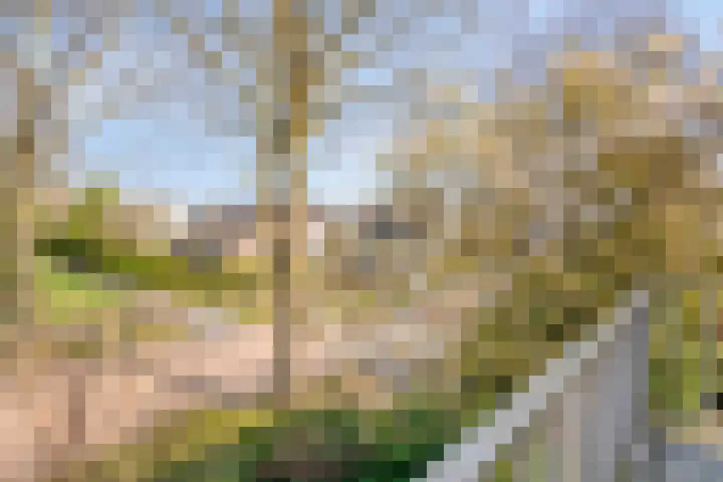 Kolfbaan 108 Burgum thumbnail 9