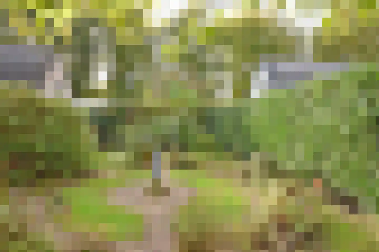 Kolfbaan 13 Burgum thumbnail 11