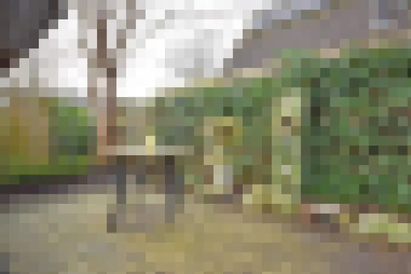 Kolfbaan 13 Burgum thumbnail 21