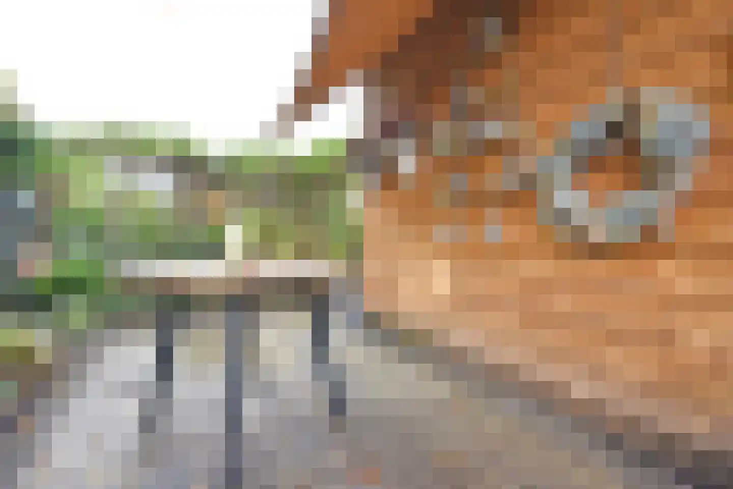 Kolfbaan 13 Burgum thumbnail 22