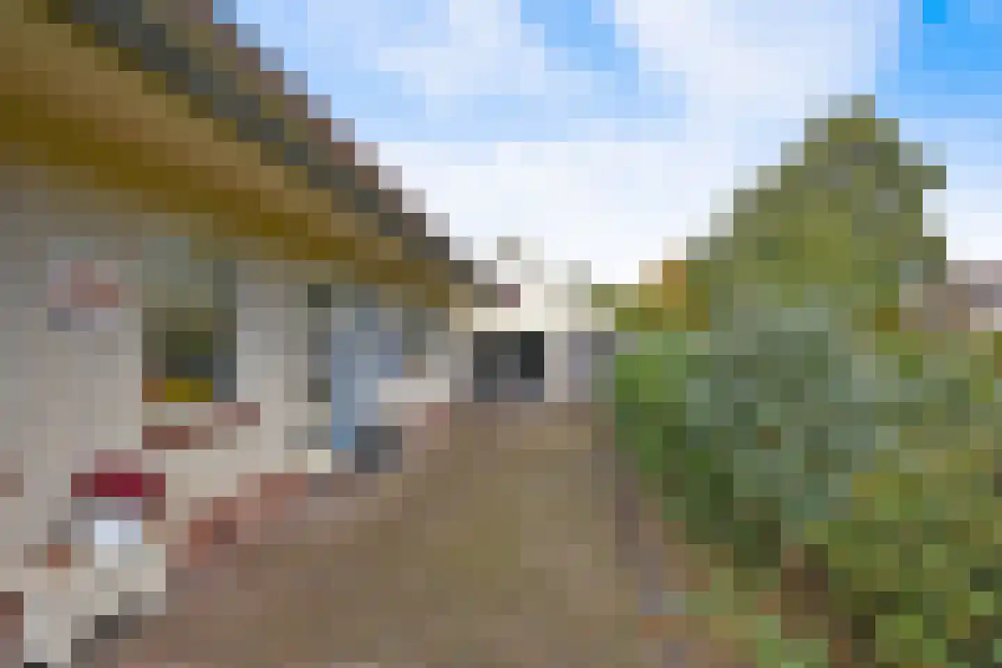 Kolfbaan 13 Burgum thumbnail 8