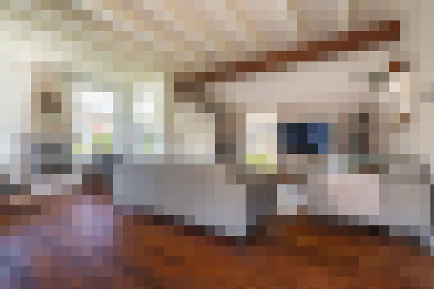 Kolfbaan 3 Schildwolde thumbnail 15
