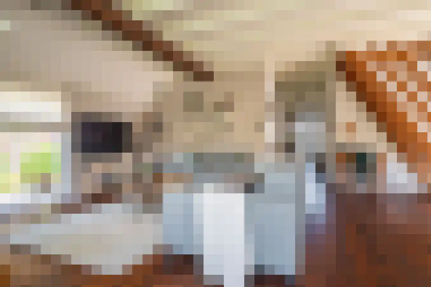 Kolfbaan 3 Schildwolde thumbnail 19
